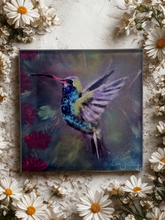 Load image into Gallery viewer, Hummingbird Glass Coasters
