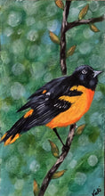 Load image into Gallery viewer, Sitting Pretty, Oriole, Bird Art, Original Painting,
