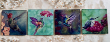 Load image into Gallery viewer, Hummingbird Glass Coasters
