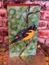 Load image into Gallery viewer, Sitting Pretty, Oriole, Bird Art, Original Painting,
