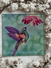 Load image into Gallery viewer, Hummingbird Glass Coasters

